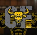 CF Bull